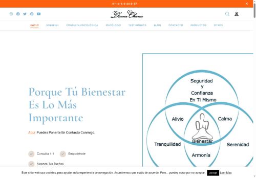 dianaohana.com capture - 2025-06-06 09:00:43