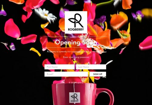 roqberry.com capture - 2025-06-06 10:10:48