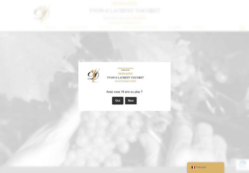 yvon-laurent-vocoret.com capture - 2025-06-06 15:08:55