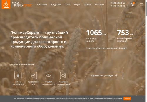 pls52.ru capture - 2025-06-06 20:10:11