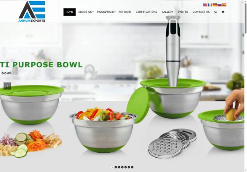 ankurexports.com capture - 2025-06-06 21:12:11