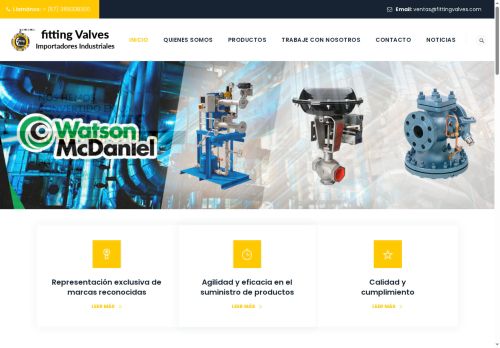 fittingvalves.com capture - 2025-06-06 23:03:34