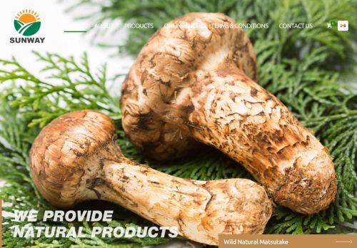 sunwayholdings.com capture - 2025-06-07 06:04:41