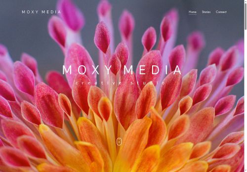 moxymedia.net capture - 2025-06-07 06:28:25