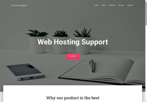 theserversupport.com capture - 2025-06-07 12:58:45