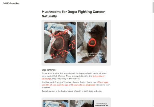 petlifeessentials.com capture - 2025-06-07 14:46:39