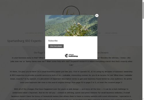 barbarawilliamsseo.com capture - 2025-06-07 16:19:12