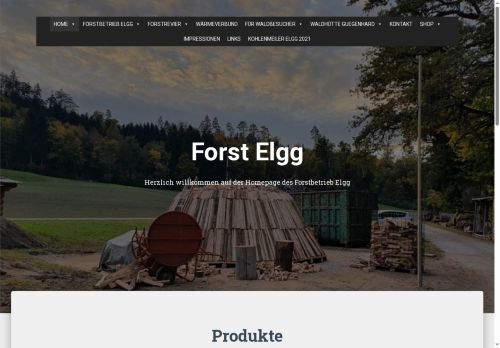 forstelgg.ch capture - 2025-06-07 22:50:21