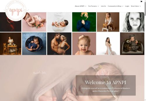 apnpi.com capture - 2025-06-08 00:46:35