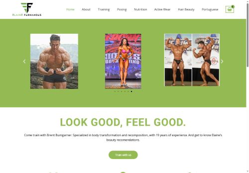 lanefernandes.com capture - 2025-06-08 01:30:13