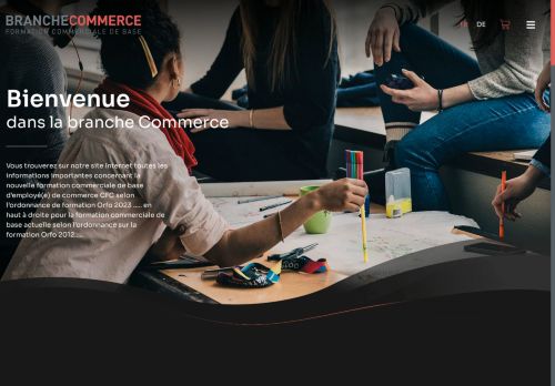 branche-commerce.ch capture - 2025-06-08 01:48:23