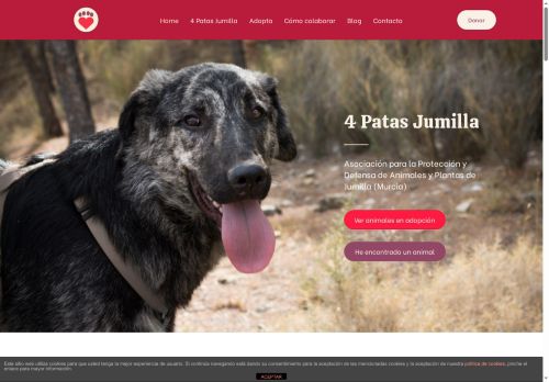 cuatropatasjumilla.com capture - 2025-06-08 03:46:56