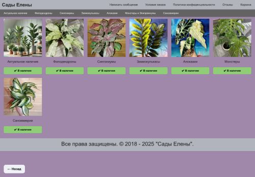 xn--80aida3anw6fe.xn--p1ai capture - 2025-06-08 05:37:31