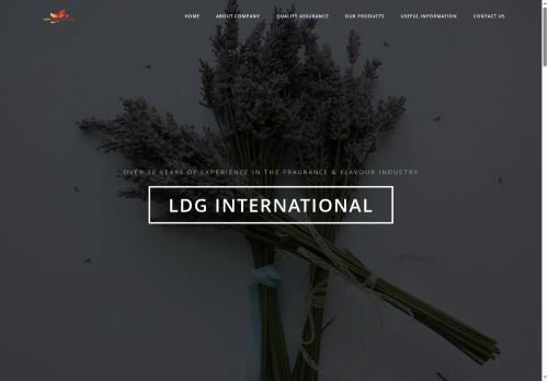 ldg.international capture - 2025-06-08 06:33:05