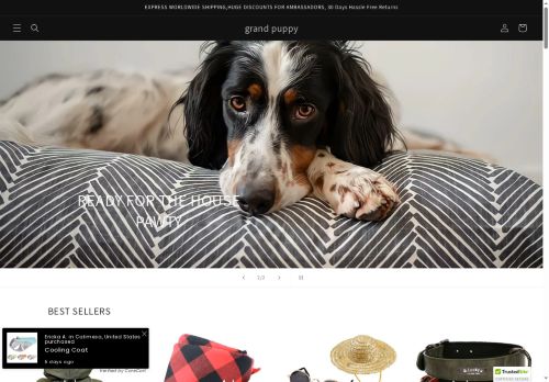 grandpuppyshop.com capture - 2025-06-08 07:24:07