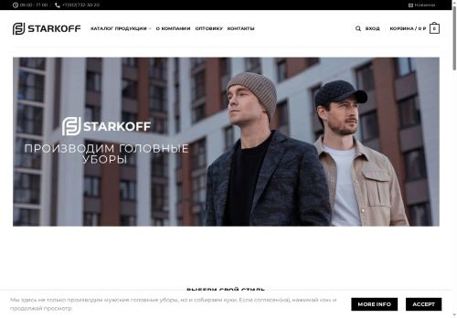 xn--80aumgdgsa.xn--p1ai capture - 2025-06-08 08:03:05