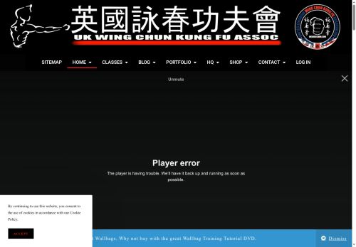 ukwingchun.com capture - 2025-06-08 14:55:16