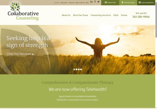 Collaborative Counseling capture - 2025-06-08 17:53:24