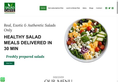 saladcaffe.com capture - 2025-06-08 18:22:22