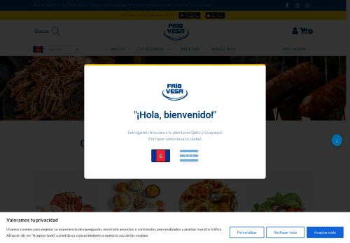 friovesa.com capture - 2025-06-08 19:28:36
