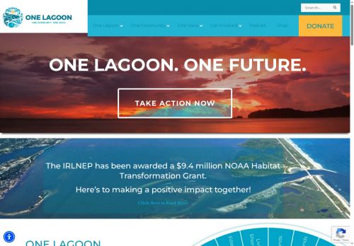 irlcouncil.com capture - 2025-06-09 02:42:26