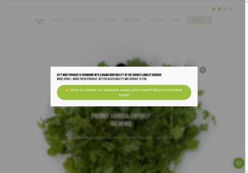 citywideproduce.com capture - 2025-06-09 06:38:08