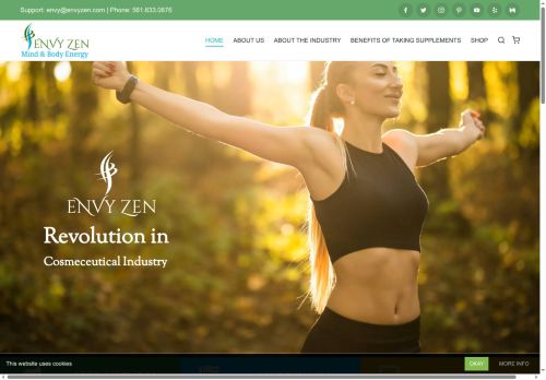 envyzen.com capture - 2025-06-09 07:18:23
