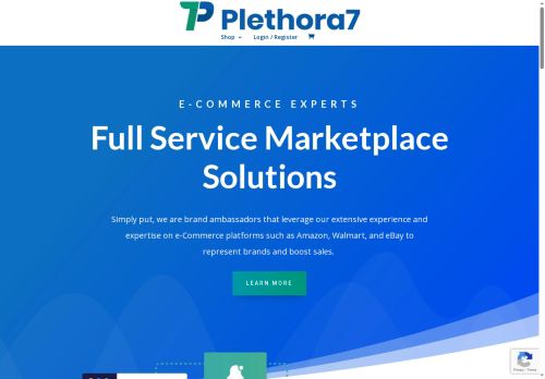 plethora7.com capture - 2025-06-09 10:13:03