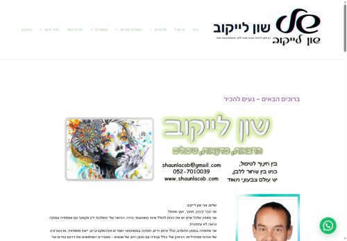 shaunlacob.com capture - 2025-06-09 11:18:41