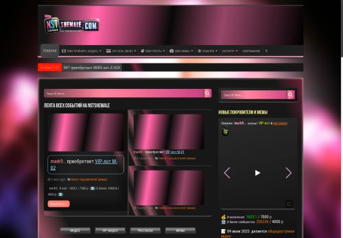 nstshemale.com capture - 2025-06-09 13:30:13