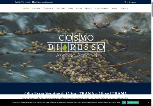 cosmodirusso.com capture - 2025-06-09 15:53:57
