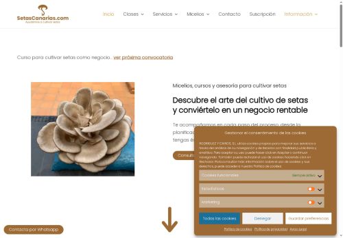 setascanarias.com capture - 2025-06-09 16:00:30