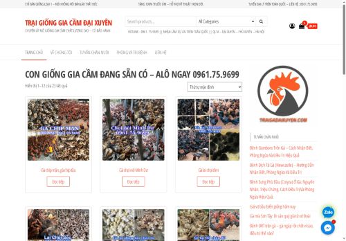 traigadaixuyen.com capture - 2025-06-09 17:04:59