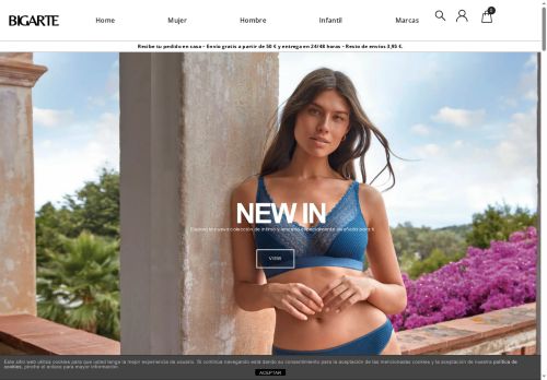 bigarte.com capture - 2025-06-09 17:19:31