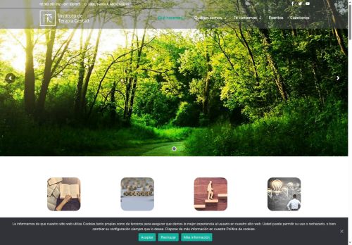 itgestalt.com capture - 2025-06-09 17:37:15