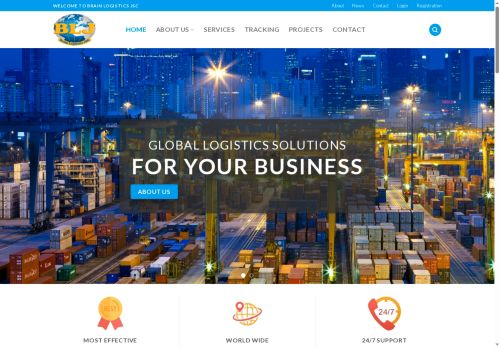 brainlogistics.com capture - 2025-06-09 18:37:47