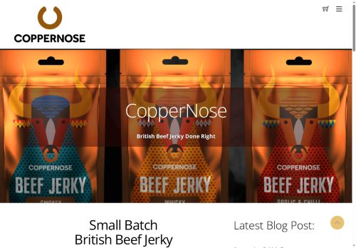 coppernose.com capture - 2025-06-09 23:13:39