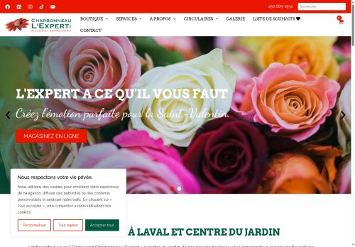charbonneaulexpert.com capture - 2025-06-10 00:58:25