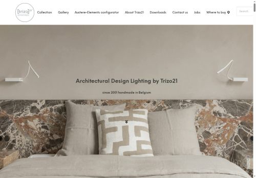 trizo21.com capture - 2025-06-10 01:45:21