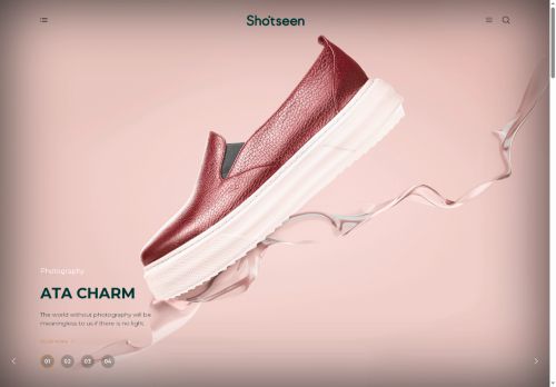 shotseen.com capture - 2025-06-10 02:05:02