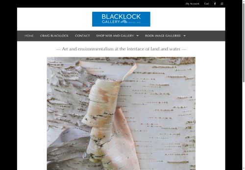 blacklockgallery.com capture - 2025-06-10 02:32:02