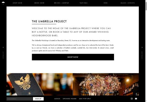 theumbrellaproject.co.uk capture - 2025-06-10 03:39:15