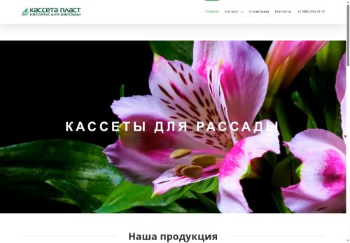 kassetaplast.ru capture - 2025-06-10 05:09:59