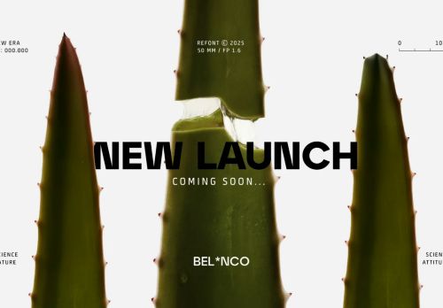 belnco.com capture - 2025-06-10 05:53:28