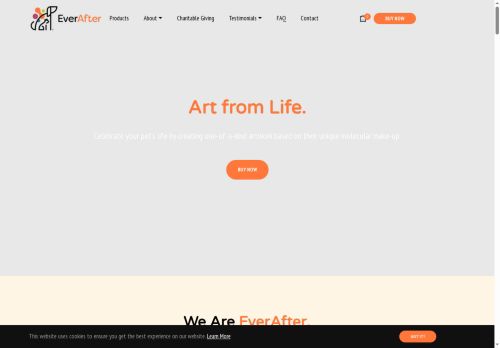 everafterart.com capture - 2025-06-10 07:34:36