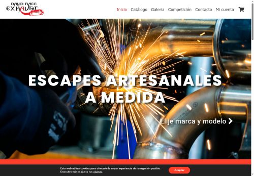 davidraceexhaust.com capture - 2025-06-10 09:41:22