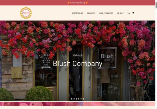 blush.company capture - 2025-06-10 09:42:53