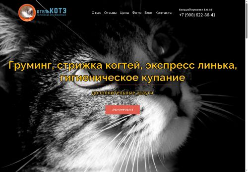 otelkote.ru capture - 2025-06-10 12:58:26