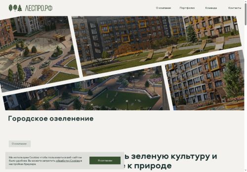 xn--e1alkdfe.xn--p1ai capture - 2025-06-10 17:27:18