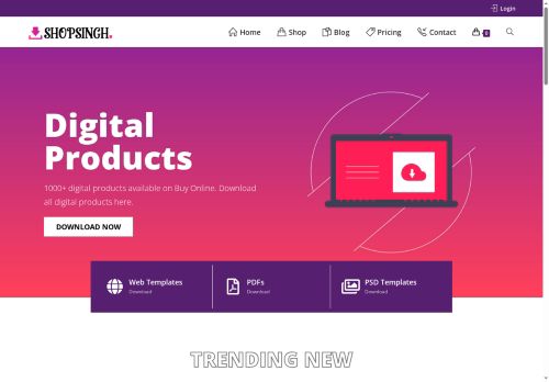 shopsinghana.website capture - 2025-06-10 19:05:43